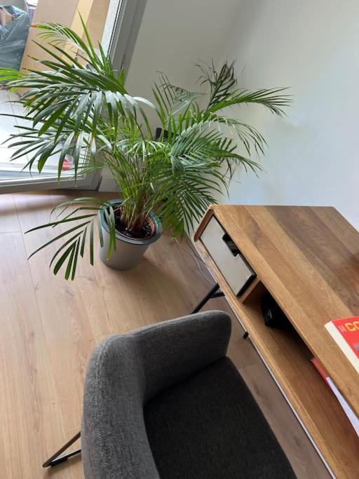 Apartamento Le Petit Bruxelles Au Calme Toulouse Exterior foto